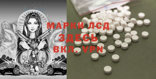 прущий лед Инсар
