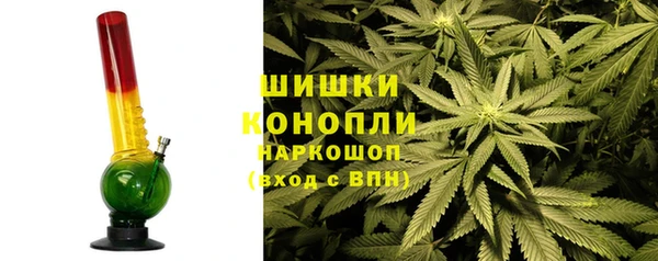 прущий лед Инсар