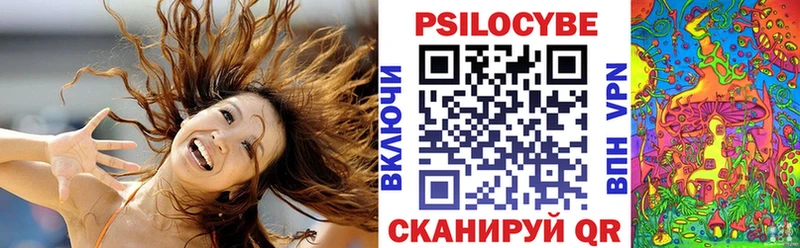 Галлюциногенные грибы мицелий  купить   Карачев 